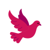 روز جهانی صلح